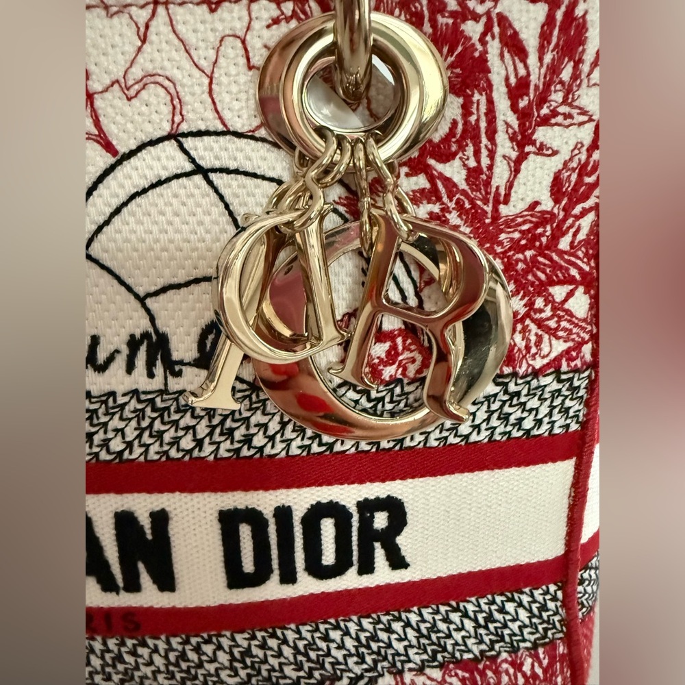 CHRISTIAN DIOR Cloth Embroidered M Dioramour D-Royaume Lady D-Lite ~ LIKE NEW - Picture 3 of 15